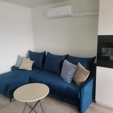 Wilcza Przystan Apartment Borzygniew