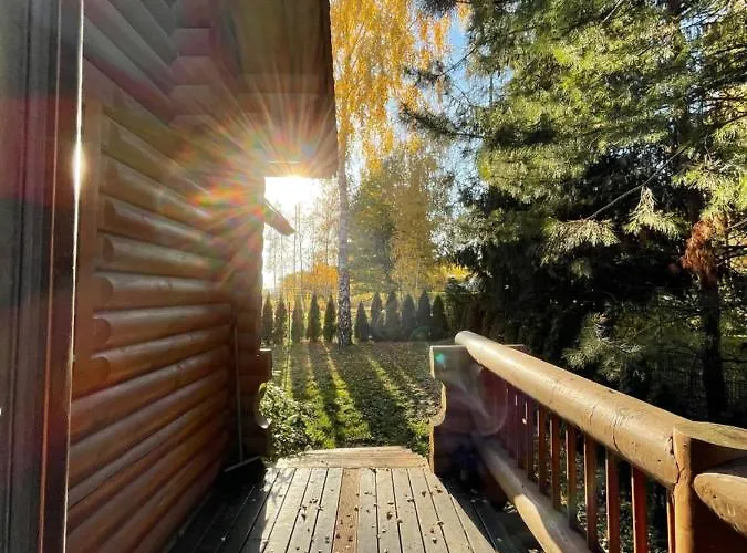 Wilcza Przystan Апартаменты Borzygniew