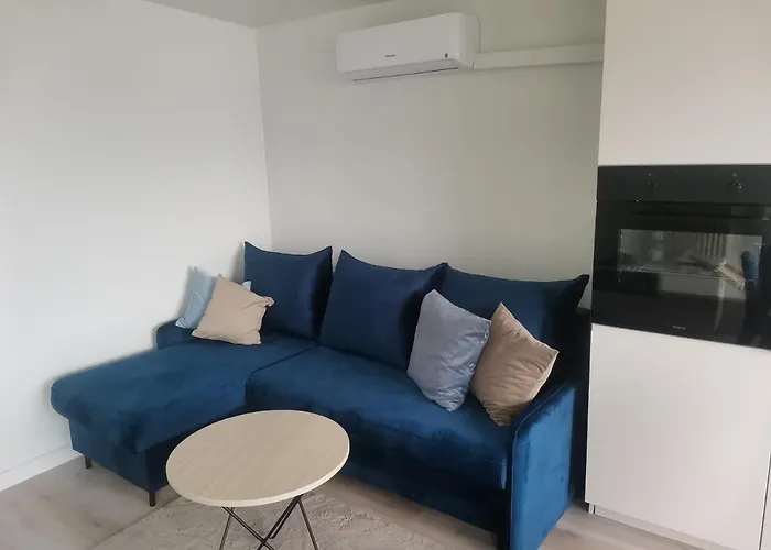 Wilcza Przystan Апартаменты Borzygniew